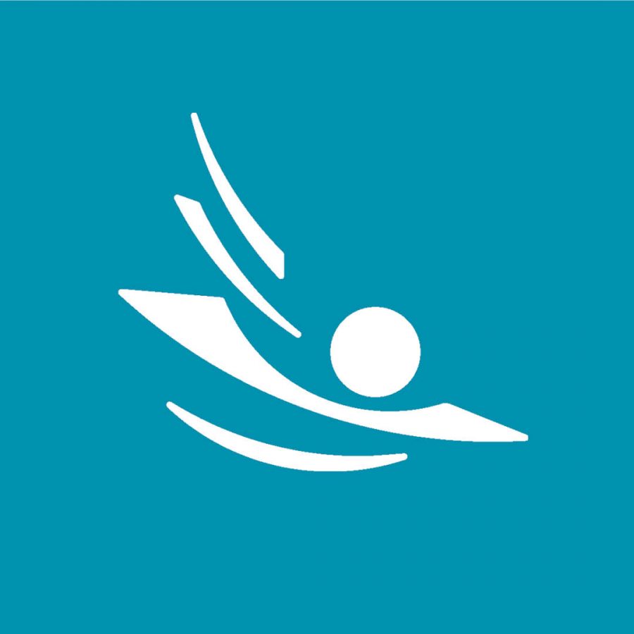 Logo des Bodenseefestival auf blauem Hintergrund